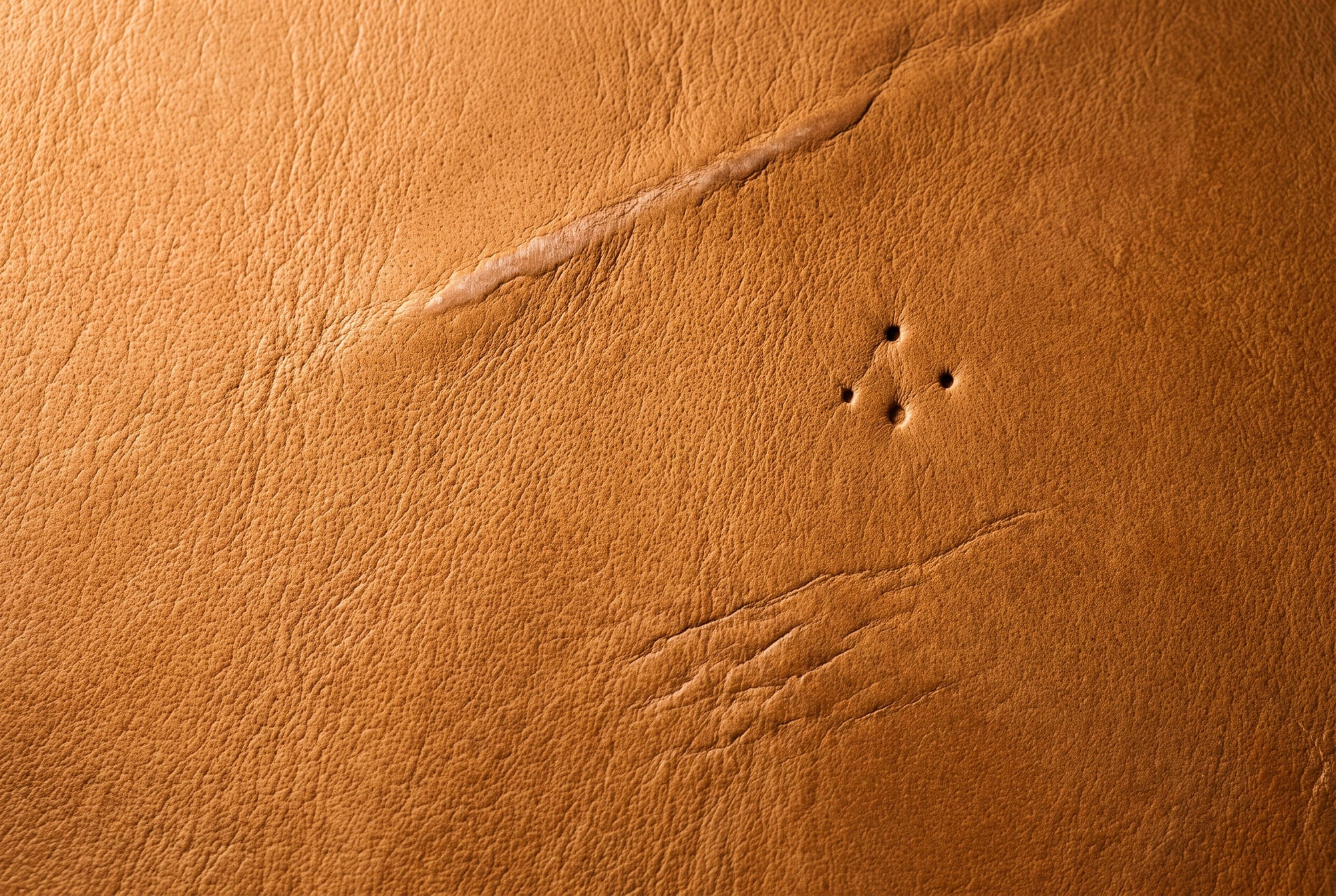 Natural Marks on Leather: Where Each One Came From, and Which Ones Are Actually Faults